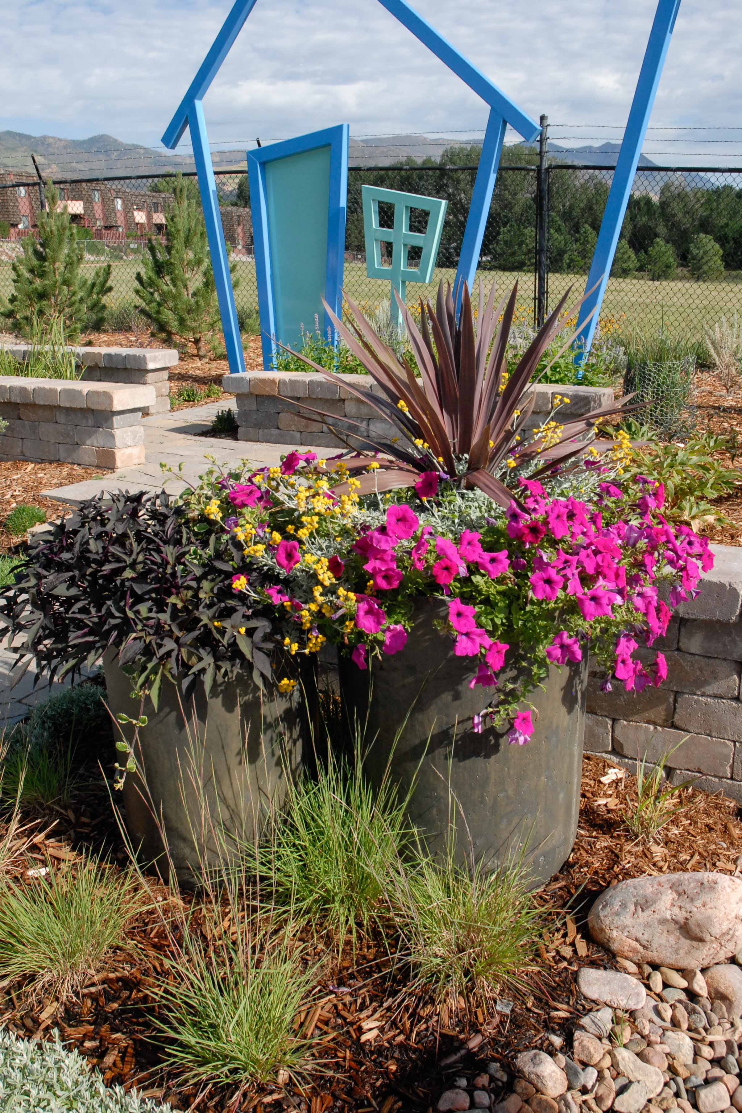 Water Wise Neighborhood